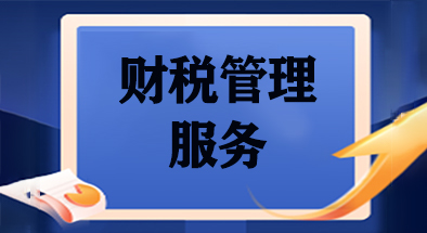 財(cái)稅管理服務(wù)